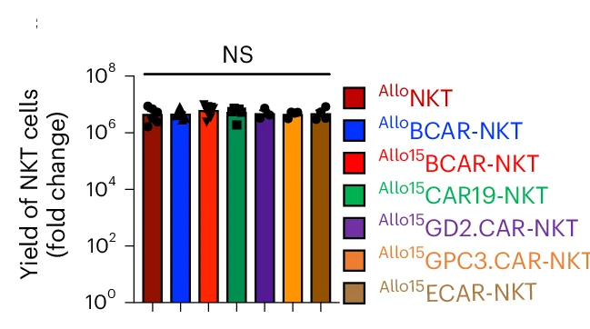 Open access visualization of Bar Plot, Error Bars, Allo (CAR)-NKT Cells, Allo NKT Cells, Allo BCAR-NKT