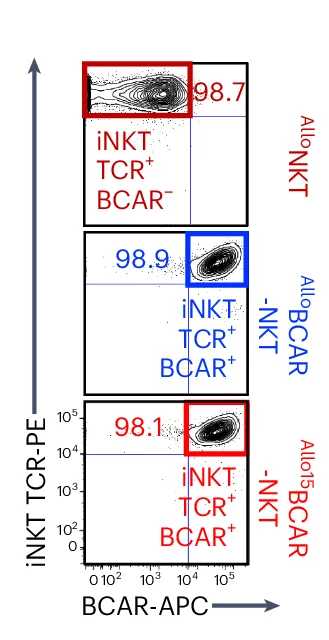 Open access visualization of Scatter Plot, FACS, iNKT TCR, BCAR, Allo (CAR)-NKT Cells
