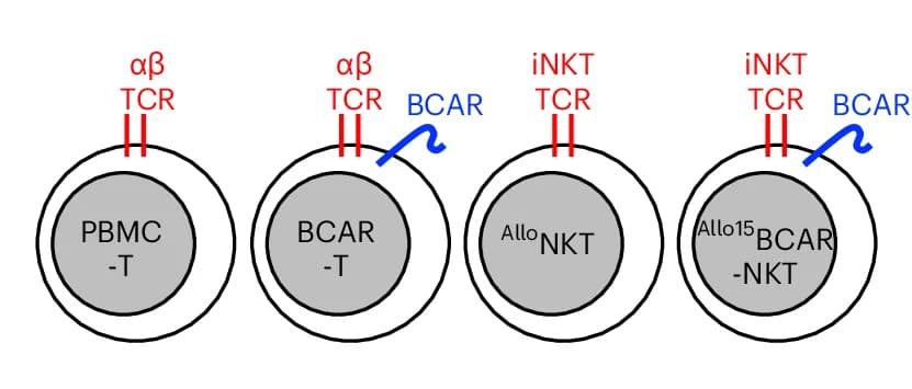 Open access visualization of Illustration, Workflow, Schematics, Therapeutic Cells