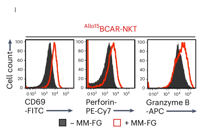 Open access visualization of Density Plot, FACS, Allo15 BCAR-NKT Cells, CD69, Perforin