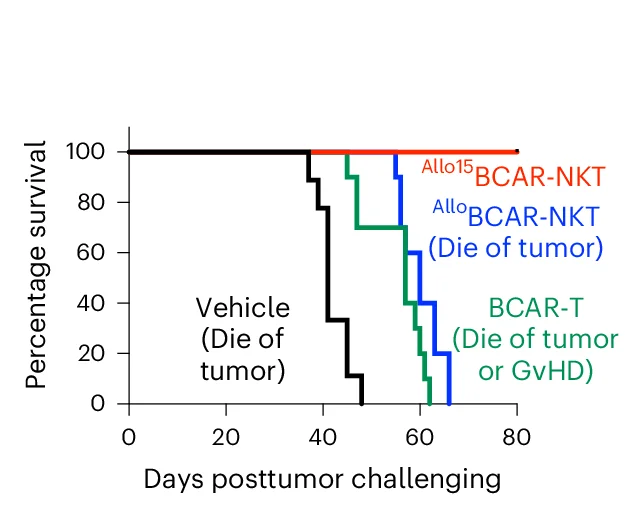 Open access visualization of Survival Curve, KaplanMeier Survival Curves, Mice, Vehicle, BCAR-T Cells