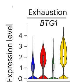 Open access visualization of Violin Plot, Violin Plots, Gene Expression, Exhaustion