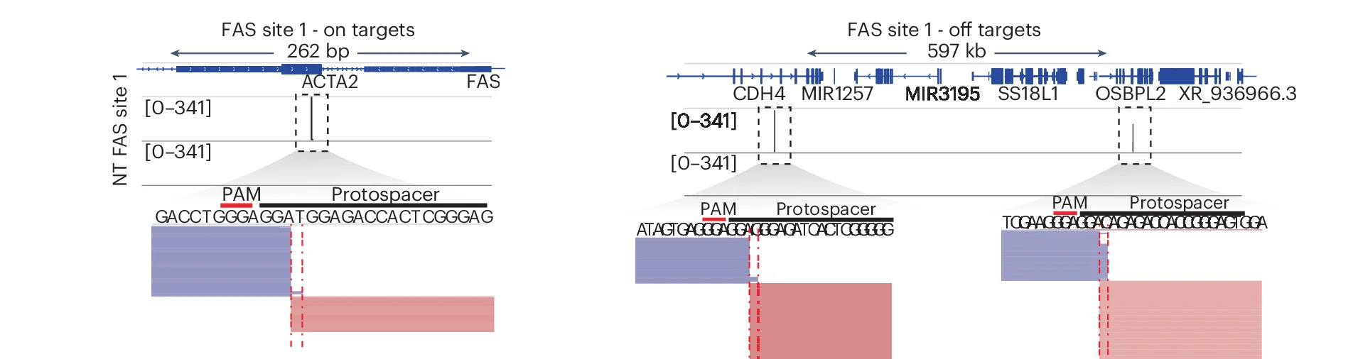 Open access visualization of Workflow, Illustration, IGV, BreakTag Data, DSB