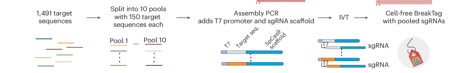Open access visualization of Workflow, Flowchart, Illustration, HiPlex BreakTag, Cas9 Target Sequences