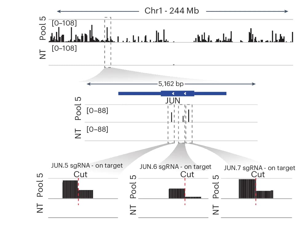Open access visualization of Bar Plot, IGV, Chromosome 1, Cleaved Sites, HiPlex1 Dataset