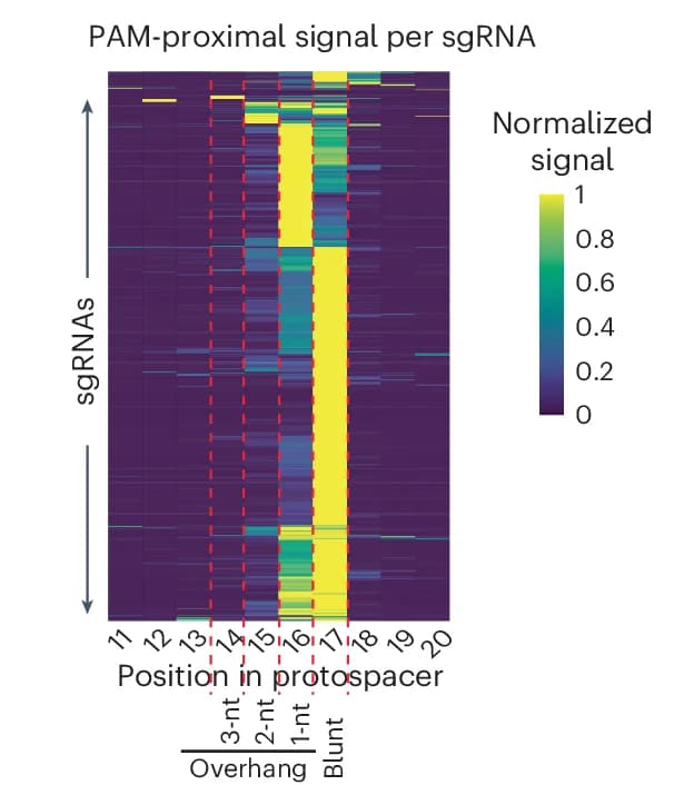 Open access visualization of Heatmap, Read Mapping, PAM-Proximal Strand, Protospacer, sgRNAs