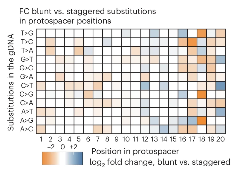 Open access visualization of Heatmap, Log 2 Fold Change, Nucleotide Substitutions, Protospacer, Blunt Sites