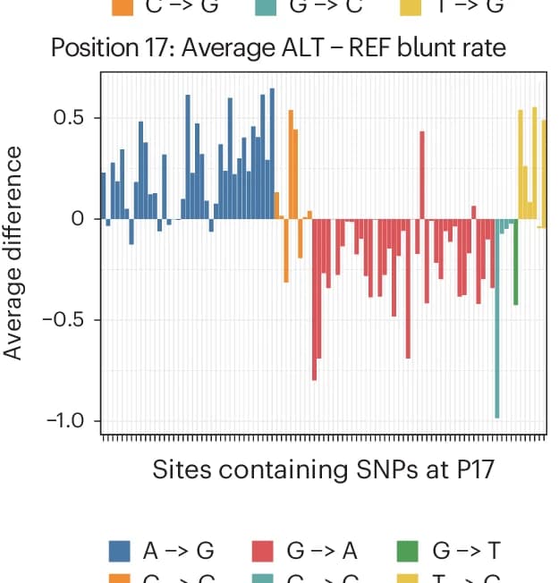 Open access visualization of Bar Plot, Blunt Rate, ALT Alleles, REF Alleles, SNPs