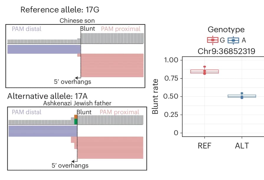 Open access visualization of Box Plot, IGV Snapshot, BreakTag Reads, REF Alleles, ALT Alleles