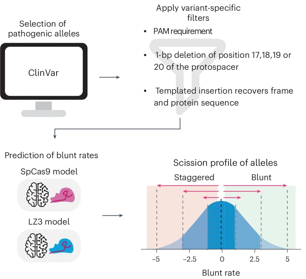 Open access visualization of Workflow, Pathogenic Deletions, Scission