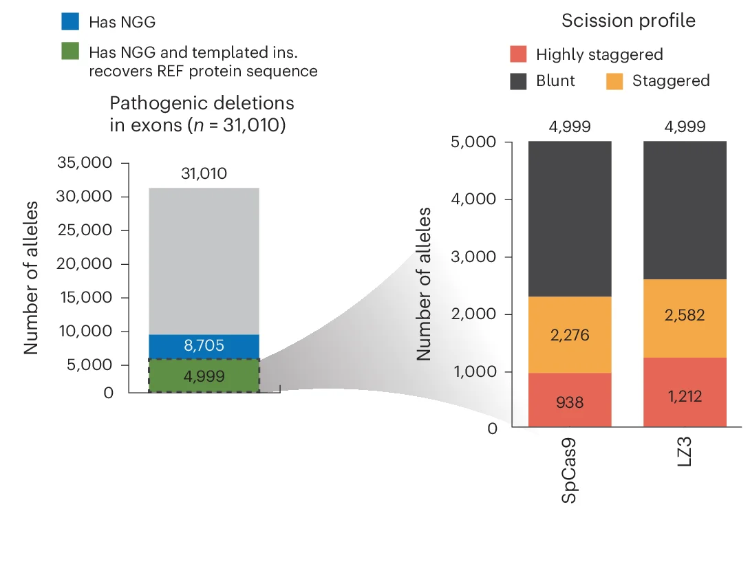 Open access visualization of Stacked Bar Plot, Bar Plot, Pathogenic Deletions, Exons, NGG