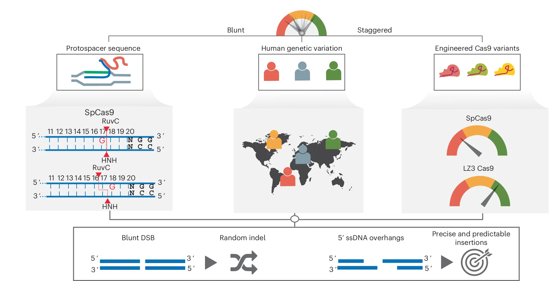 Open access visualization of Workflow, Illustration, Geo Map, Model, Cas9