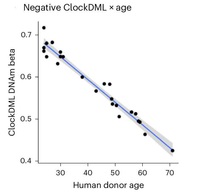 Open access visualization of Scatter Plot, Regression Plot, DNAm Level, ClockDML, Sample Age