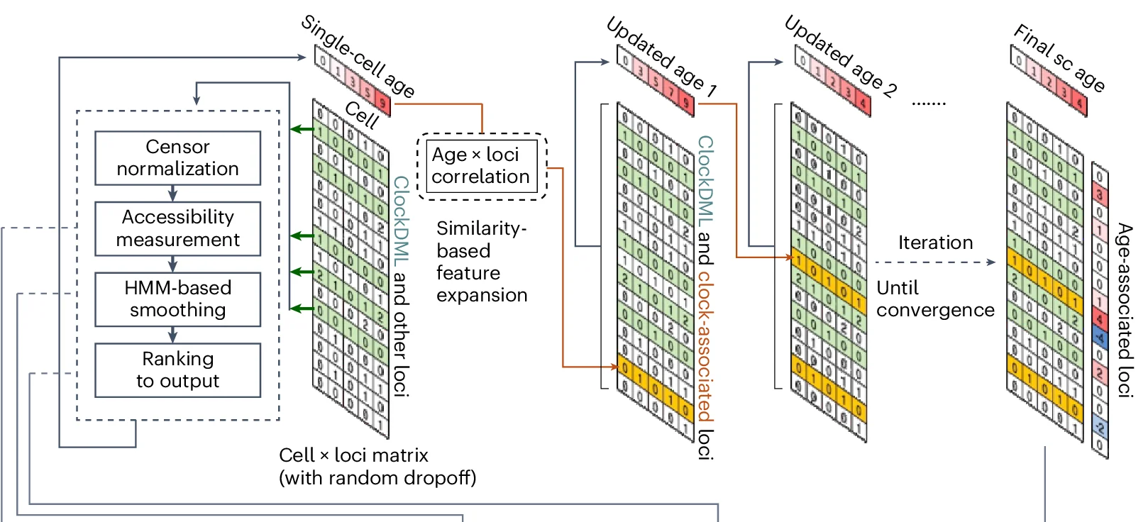 Open access visualization of Workflow, Flowchart, EpiTrace Algorithm