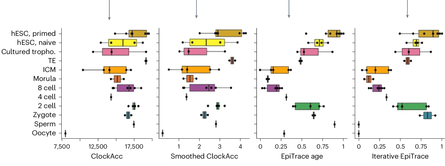 Open access visualization of Box Plot, Scatter Plot, Error Bars, Chromatin Accessibility, ClockDML
