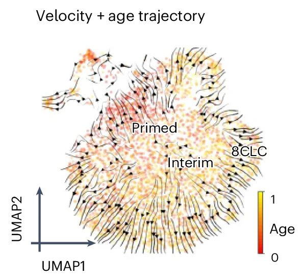 Open access visualization of Scatter Plot, UMAP, scMultiomic, Single-Cell Evolution, EpiTrace