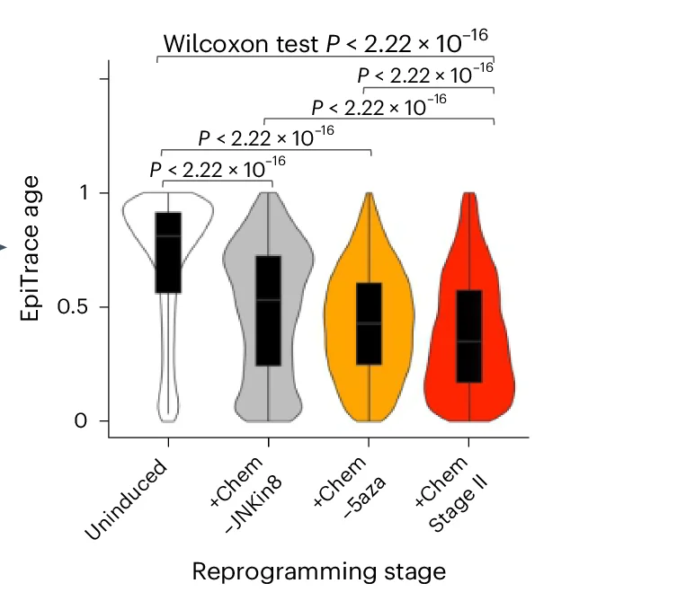 Open access visualization of Violin Plot, Box Plot, Single-Cell Age, EpiTrace, Cell Culture