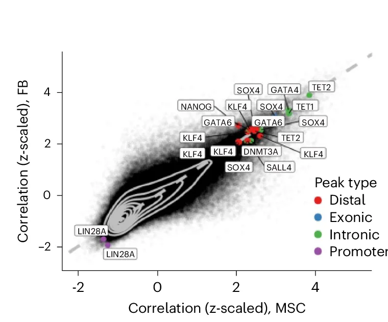 Open access visualization of Scatter Plot, Density Plot, Correlation Coefficient, ATAC Peak, EpiTrace