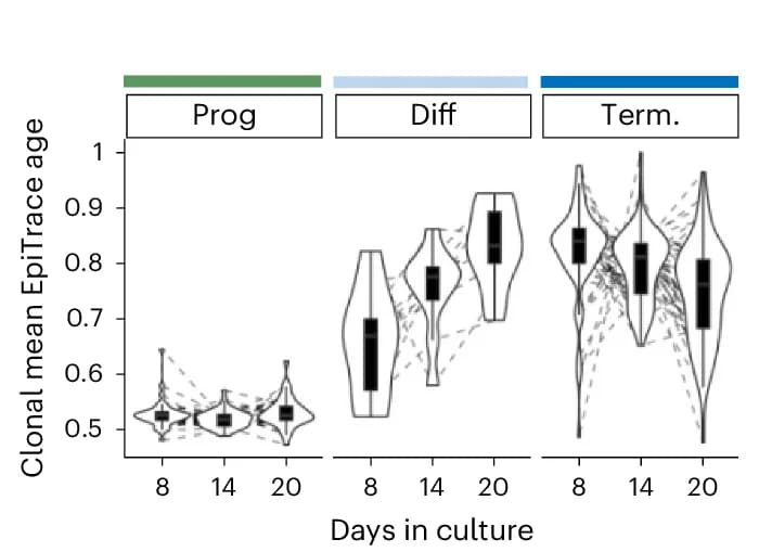 Open access visualization of Violin Plot, Box Plot, Scatter Plot, EpiTrace Age, Myeloid Cell Clones