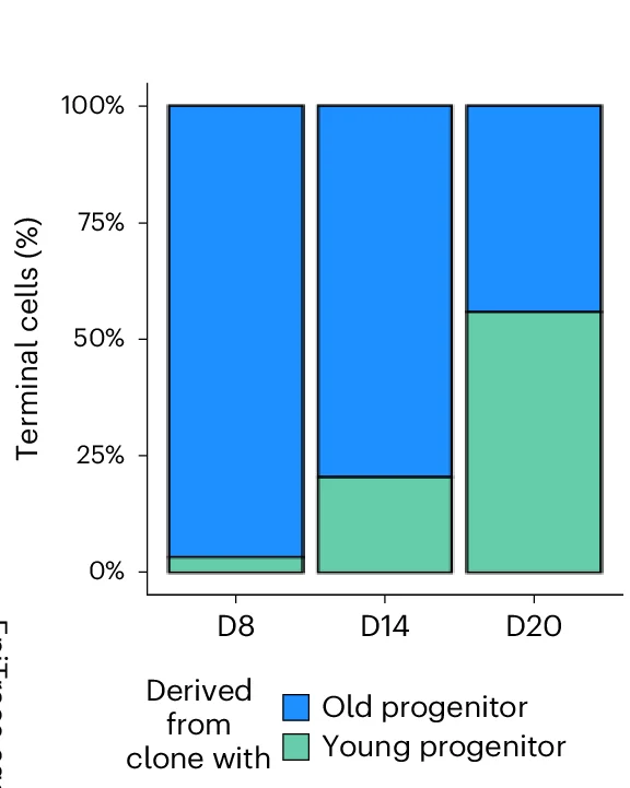 Open access visualization of Stacked Bar Plot, Proliferator Clones, EpiTrace Age, Myeloid Cells, Timepoints