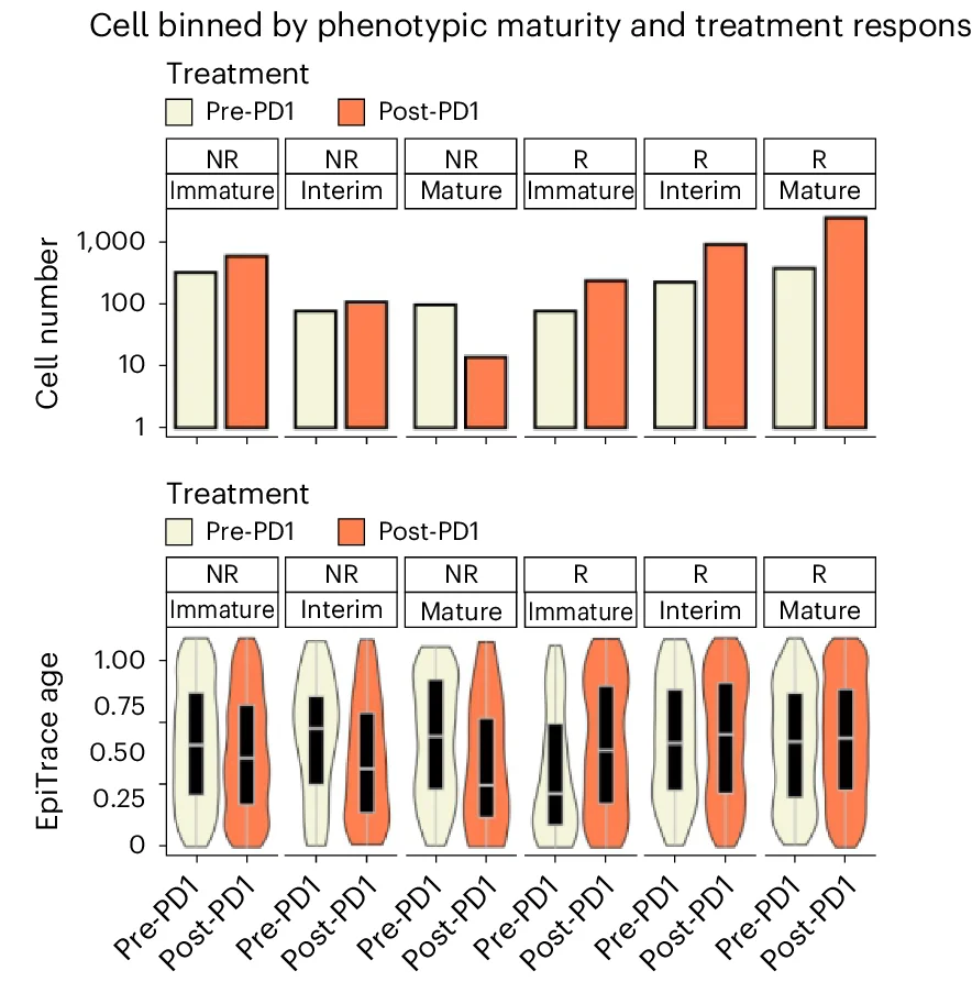 Open access visualization of Bar Plot, Violin Plot, T Ex Cells, Treatment Response, T Cell Phenotype