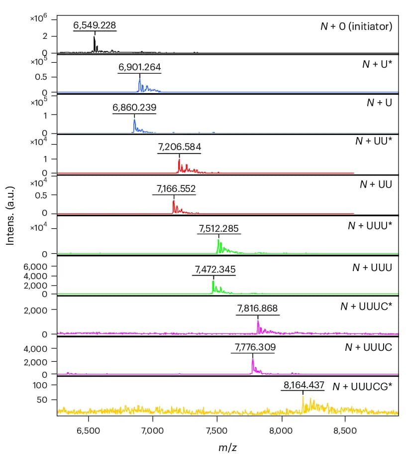 Open access visualization of Line Plot, Density Plot, MALDI-TOF Mass Spectrometry, Enzymatic Synthesis, Extension