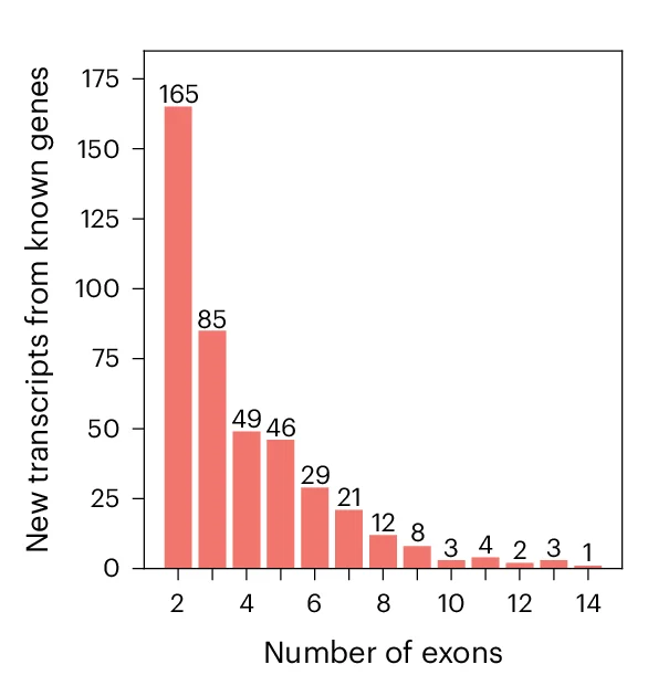 Open access visualization of Bar Plot, Exons, Transcripts
