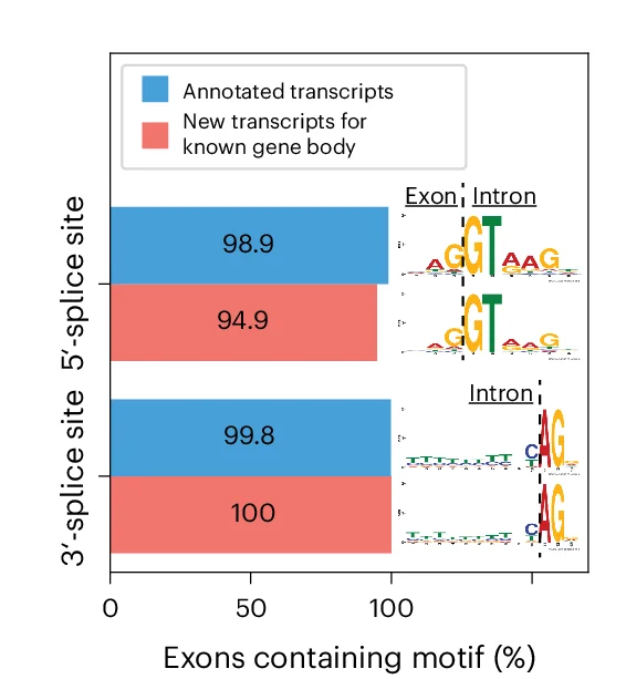Open access visualization of Bar Plot, Illustration, Splice Site Motifs, Exons, Transcripts