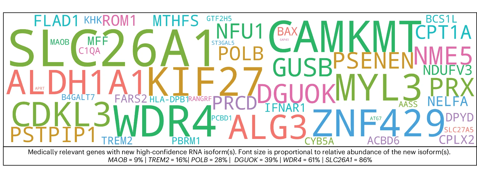 Open access visualization of Word Cloud, RNA Isoform, Gene Abundance, Ensembl, CPM