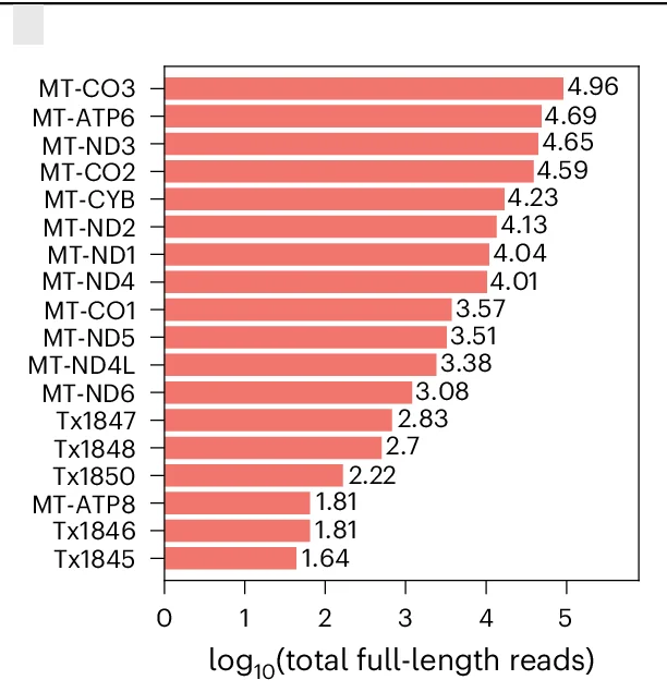 Open access visualization of Bar Plot, Full-Length Counts, Mitochondrial Transcripts, Protein-Coding Transcripts