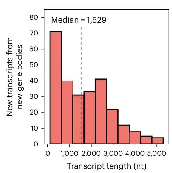 Open access visualization of Histogram, Transcripts, Gene Bodies, Length Distribution