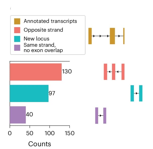 Open access visualization of Bar Plot, Illustration, Transcripts, Gene Bodies