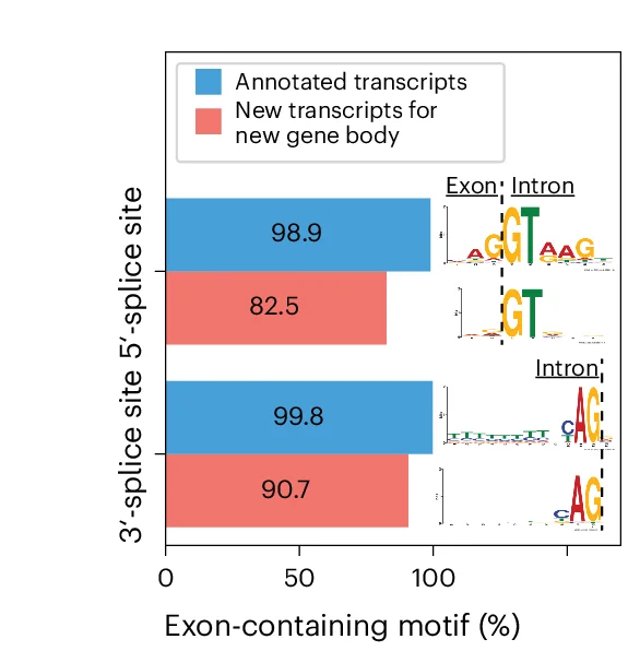 Open access visualization of Bar Plot, Splice Site Motifs, Exons, Transcripts, Gene Bodies