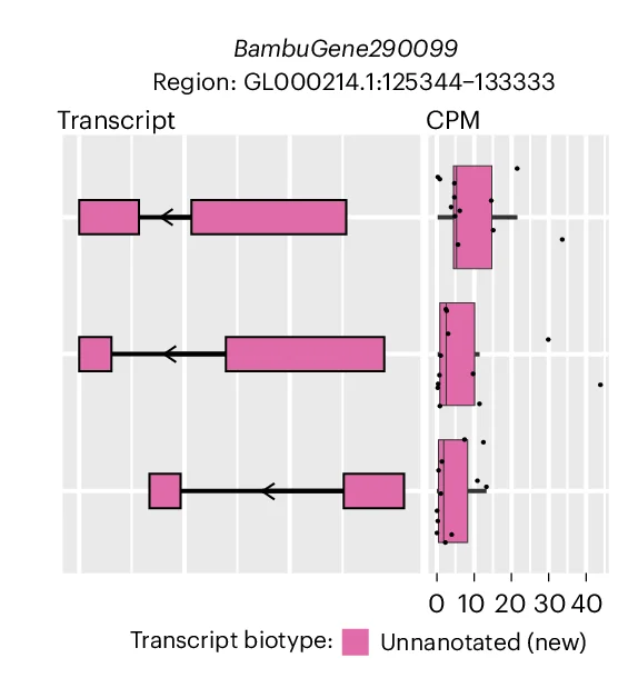 Open access visualization of Box Plot, Scatter Plot, RNA Isoform, CPM Expression, Gene Body