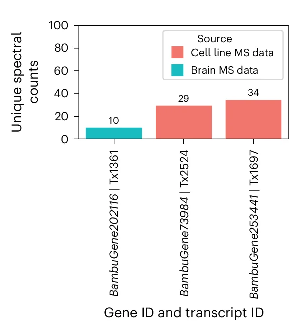Open access visualization of Bar Plot, Protein Validation, MS Proteomics, Transcripts, Genes
