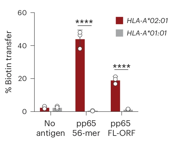 Open access visualization of Bar Plot, Error Bars, Clustered, Target Cell Biotinylation, G5-Targets