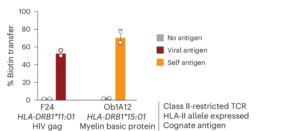Open access visualization of Bar Plot, Error Bars, Target Cell Biotinylation, Antigen-Positive Target Cell, TCR + SrtA-Jurkat