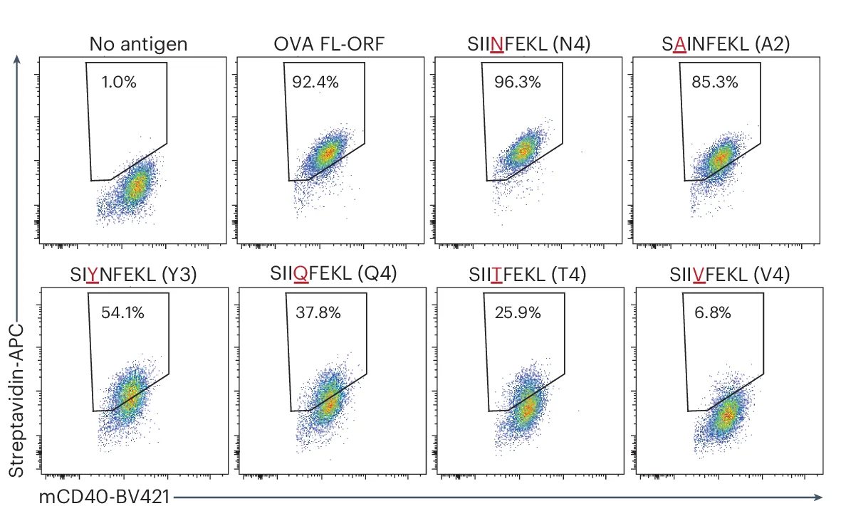 Open access visualization of Scatter Plot, OVA, SIINFEKL Peptide, H2-K b + G 5 -target Cells, OT-I TCR + SrtA-Jurkats