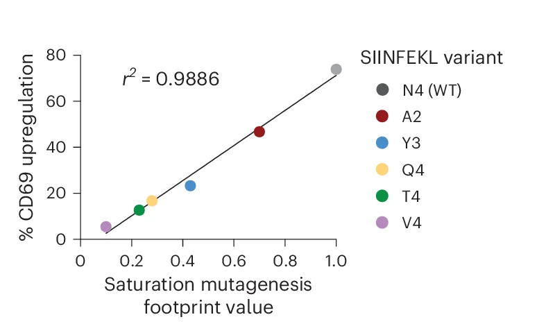 Open access visualization of Scatter Plot, Regression Plot, Saturation Mutagenesis, CD69 Upregulation, OT-I TCRs