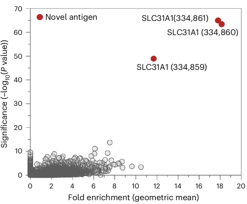 Open access visualization of Scatter Plot, Volcano Plot, TCR-MAP screen, Peptide fragments, Target cells