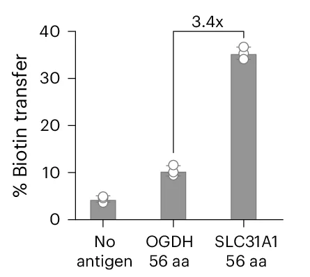Open access visualization of Bar Plot, Error Bars, Target Cell Biotinylation, Peptide Tiles, Antigen