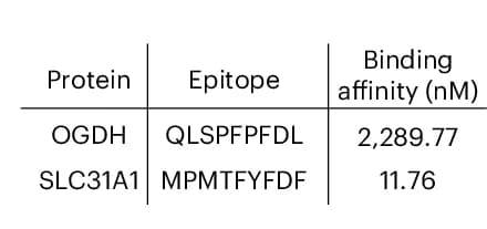 Open access visualization of Table Image, NetMHC binding affinity, Epitopes, Allele