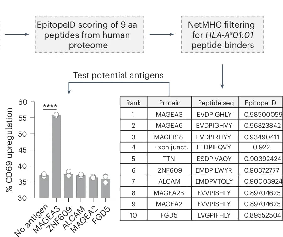 Open access visualization of Bar Plot, Workflow, Illustration, Table Image, EpitopeID Ranking