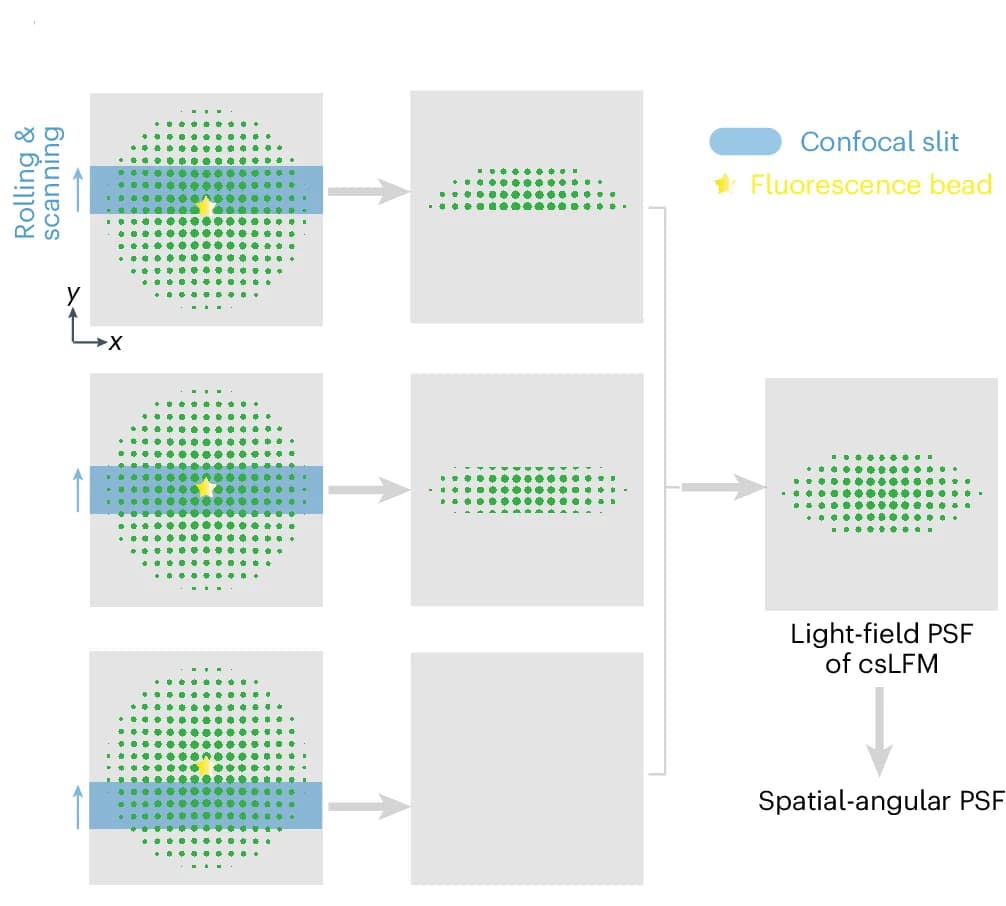 Open access visualization of Workflow, Illustration, Confocal Modulation, sLFM Detection, Fluorescence Bead