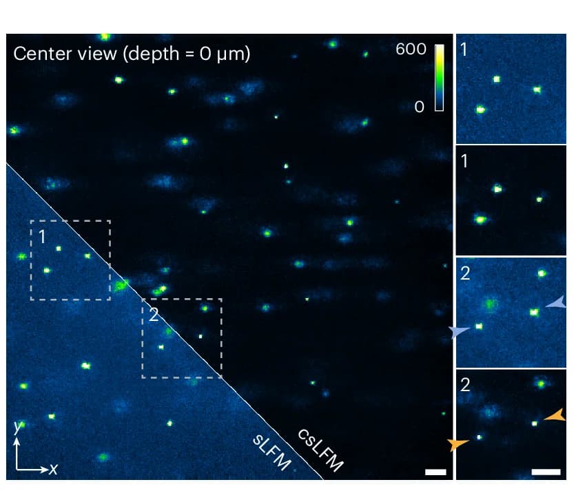 Open access visualization of Microscopy, sLFM, csLFM, Fluorescence Beads, Intralipid