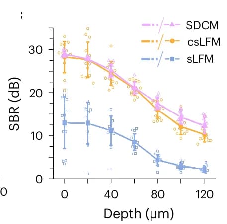 Open access visualization of Line Plot, Scatter Plot, Error Bars, SBR, sLFM