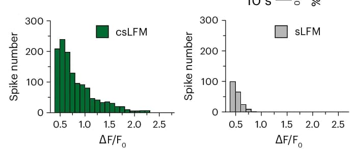 Open access visualization of Histogram, Spike Amplitudes, sLFM, csLFM