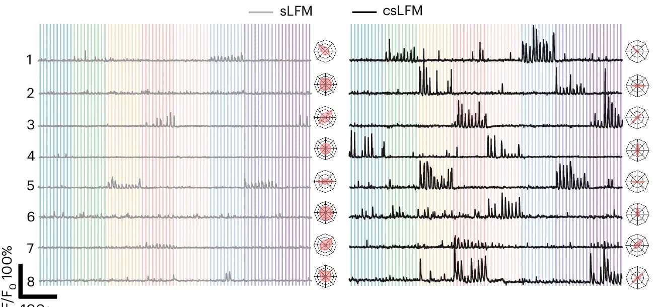 Open access visualization of Line Plot, Radar Chart, Temporal Traces, sLFM, csLFM