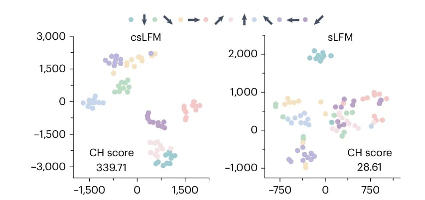 Open access visualization of Scatter Plot, Dimensionality Reduction, t-SNE, Neural Activity, Calinski-Harabasz Score