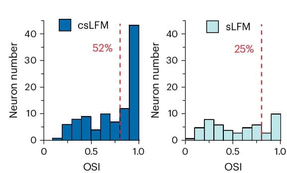 Open access visualization of Histogram, OSI Distributions, Temporal Traces, Neurons, sLFM